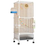 Double couche grande volière oiseaux: Cette cage à oiseaux double porteur d'oiseaux peut accueillir 6 oiseaux ou perroquets, tels que les oiseaux d'amour, les cocatiels, les perroquets, les pinceaux, les canaires, etc.
