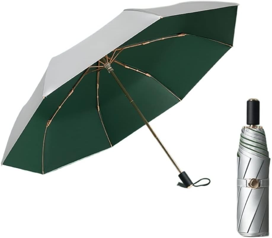 Windproof Travel Umbrella Double-Layer Folding Travel Umbrella Windproof Portable Lightweight Parasol Outdoor Sun Rain All Weather Umbrella Stand up to Snow STO，B
