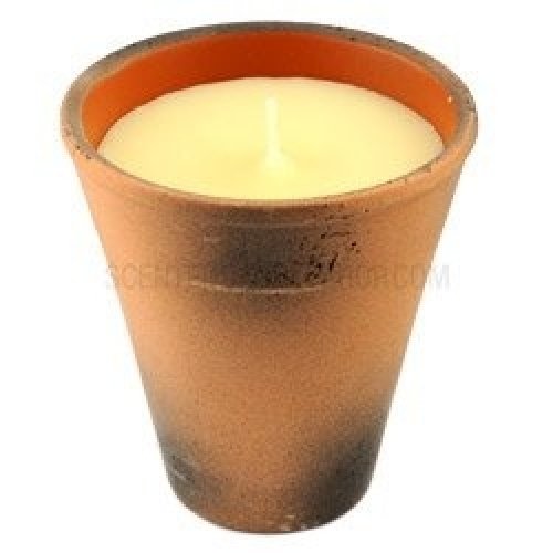 St Eval Candle Plantas  Grande (Tomillo y menta), diseño victoriano