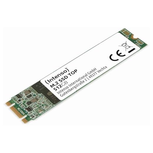 Intenso Top Performance M.2 512 Go Série ATA III