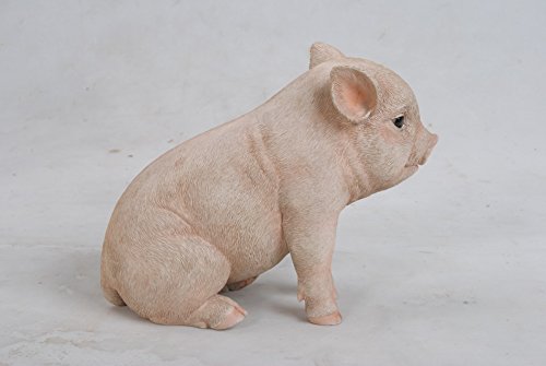 Hi-Line Gift Ltd Sitting Baby Pig, 6" #TOP2