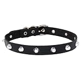 Black Studded Choker Necklace