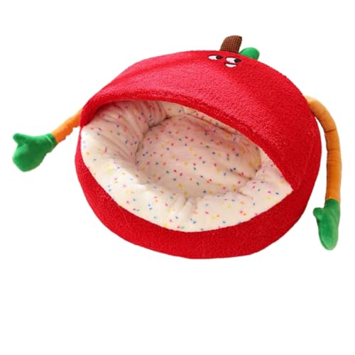 FiozweaC`^̊ی^gLpxbhAȃETM̃t[XÂ݂̂AɋAт̂Ȃybgxbh (S,B)