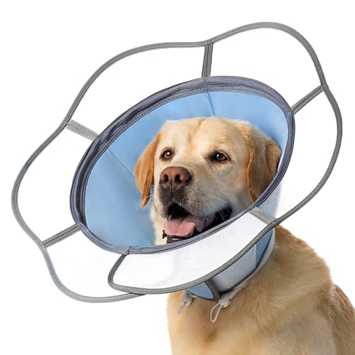 Soft Dog Cone Collar After Surgery Recovery