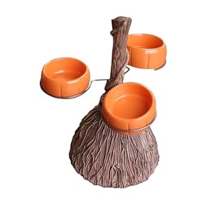 Generisch Besenform Bonbonservierer mit Orangenschalen