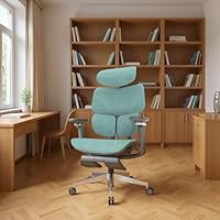 Amazon.co.jp: CAGUUU アクシスエルゴコア オフィスチェア デスク