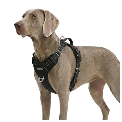 Funfox Hundegeschirr Grosse Hunde Atmungsaktiv Anti Zug Verstellbar Hundegeschirr No Pull Geschirr Hund Brustgeschirr Hundegeschirr für Große Hunde Dog Harness Schwarz XL 5 Funfox Hundegeschirr Grosse Hunde Atmungsaktiv Anti Zug Verstellbar Hundegeschirr No Pull Geschirr Hund Brustgeschirr Hundegeschirr für Große Hunde Dog Harness Schwarz XL