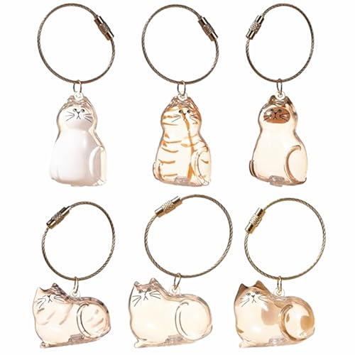 RHUISHU 6Pcs Cat Hair Storage Pendant Keychain Pet Hair Keepsake Collector Plastic Transparent DIY Memorial Bottle Cat Lover Collecting Social Christmas Decorations Gift