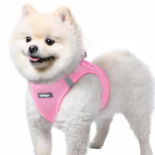 rabbitgoo Dog Harness Small Dog, Step-in Soft Mesh Puppy Harness with Reflective Strips, Lightweight Breathable Pet Vest for Walking Training, Light Pink, S