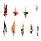 Hat Feathers, 9 Pcs Assorted Natural Feather Packs Accessories for Fedora, Cowboy, Open Road,...