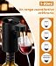 Imagen de PAHTTO Decantador de vino eléctrico