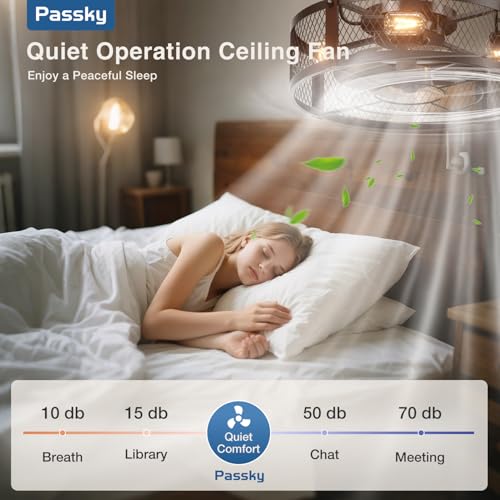 Image of Passky 20 Inch Farmhouse Caged Ceiling Fans with Lights and Remote, Black Downrod Mount Bladeless Fandelier, 6 Speeds Bladeless Ceiling Fan Light for Bedroom, Kitchen, Living Room, Indoor