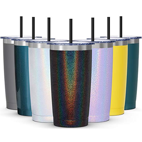 Bastwe 20oz Stainless Steel Vacuum Insulated Tumbler with Lid, Straw and Temperature Retention