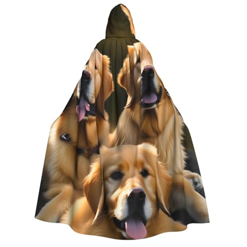 Cape à capuche Golden Retrievers le costume idéal contre le manque d'inspiration