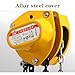 1Ton/2200lbs Hand Chain Hoist,Alloy Steel G80 Steel Manganese Chain Manual Hoist,30FT Lifting Chain Block Hoist for Factory Garage Dock Mine,Industrial Grade Customized Chain Hoist Block