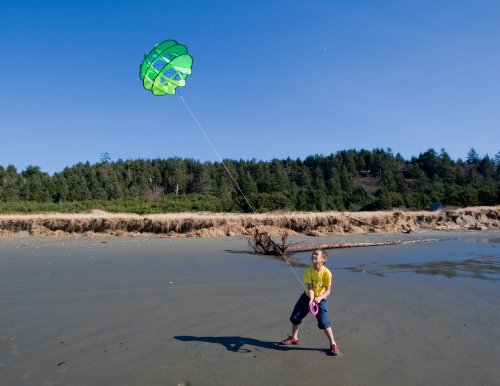 Prism Eo 6 Box Kite, Citrus #TOP6