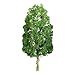 JTT Scenery Products Professional Series: Sycamore, 3