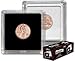 BCW 2x2 Coin Snap - 25 ct Penny Holder | Archival Safe Coin Protector | Crystal Clear Polystyrene Coin Display Case | Ideal for US Lincoln Penny | Coin Holders for Collectors