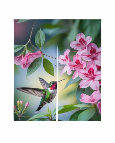 Sauoromeon ̂ J[e 85x90cm  Ռ g hAJ[e d؂ ډB ʋC a  tbg OΉ Ђt t   n`h R   Lb` rO tďH~