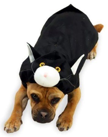 Zack & Zoey Doggone Cat Dog Costume Sm #TOP7