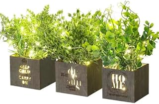 BEGONDIS Set of 3 Artificial Plant & Decor Set with Nightlight LED Light, Potted Fake Plants for Living Room, Office, and Dining Table  Indoor & Outdoor Faux Plant
