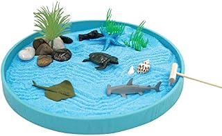 The Sea World Sandbox, a New Generation of Executive Mini Zen Garden Set