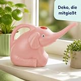 MIJOMA B0DTKKCZC9 lato 3