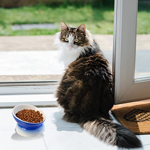 Elevated Cat Bowls Whisker Fatigue,Tilted Raised Cat Food Bowls,Ceramic Cat Bowl Whisker Friendly For Flat Faced Cats And Small Dogs,Anti-Vomiting And Reduce Neck Burden,Dishwasher And Microwave Safe #TOP6