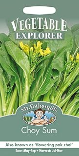 Mr Fothergills - Pictorial Packet - Vegetable - Choi Sum - 500 Seeds