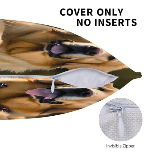 Coussin Golden Retriever : housses décoratives EdWal pour lit