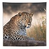 Installation facile : la tapisserie esthétique pour chambre à coucher est légère et livrée avec 2 crochets de clip, 3 clous non marquants pour la tapisserie amusante en carton pour une suspension facile. Convient pour une utilisation en intérieur et en extérieur.