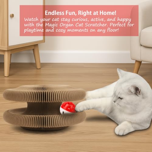 Magic Organ Cat Scratcher Board with Ball – Interactive Kitty Toy for Mental & Physical Exercise