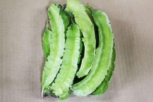 Amazon 沖縄県産 うりずん豆 四角豆 100ｇ 沖縄の八百屋さん 豆類 通販