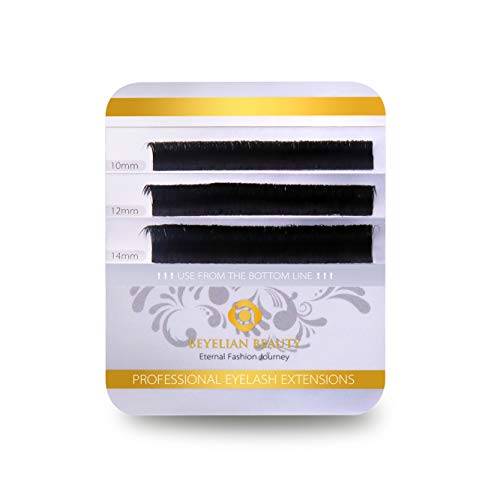 BEYELIAN Lash Samples Hybrid Easy Fan Eyelash Extensions .07mm and .15mm Mixed in 1 Strip Creating Hybrid Sets Volume Fuller Fluffy Look C Curl