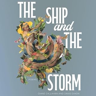 The Ship and the Storm cover art