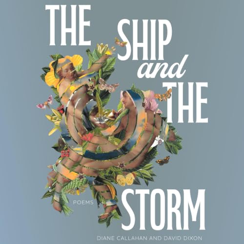 Diseño de la portada del título The Ship and the Storm