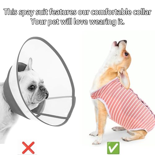 Dokeno Hundebody Nach Op - Anti-Lecken Onesie für Hunde und Katzen - Erholungsanzug Alternative zum E-Halsband (S)