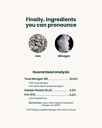 Sunday Lawn Kickstart Fertilizer, 42.3Oz - Lawn Fertilizer For Lawn Improvement - Includes Universal Sprayer Attachment - Covers Up To 5,000 Sq Ft - Easy Application In 15 Minutes Or Less - Boost Your Lawn's Health Today! #TOP5