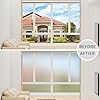 Frosted Glass Paint, Frosted Glass Paint for Windows with Tools, Water ...