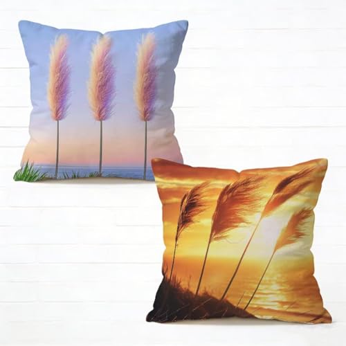 �N�b�V�����J�o�[ 55x55 cm 2���Z�b�g ���v ���z�c�J�o�[ 55 x 55 �\�t�@�[ �N�b�V���� ���� �l�C ���O �N�b�V���� ���� �������J�o�[ �l�p HD���ʈ�� ���_�� �B���t�@�X�i�[�t���C�t�ăR���N�V���� �K�p�Ώ� �ƒ� �I�t�B�X �֎q �x