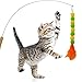 CATENEED Cat Wand Replacement Worm Cat Toys, 8 Pieces Cat Wand Attachments Assorted Worms Feather Refill Toy for Indoor Cats