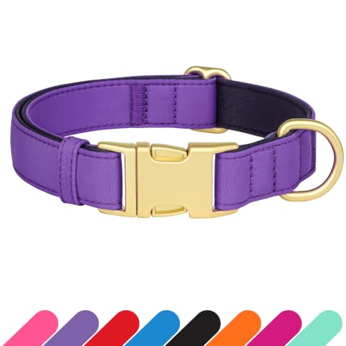 Didog Soft Padded Dog Collar for Large Dogs, Purple, L Neck 16-22"