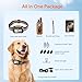 Meowant GPS Wireless Dog Fence System Collar with Training Remote, Free App, Custom GPS Fence(82-7000ft), Beep/Vibration/Correction, Early Alert Band, Waterproof LCD Collar, Dogs 10+Lbs, Outdoor