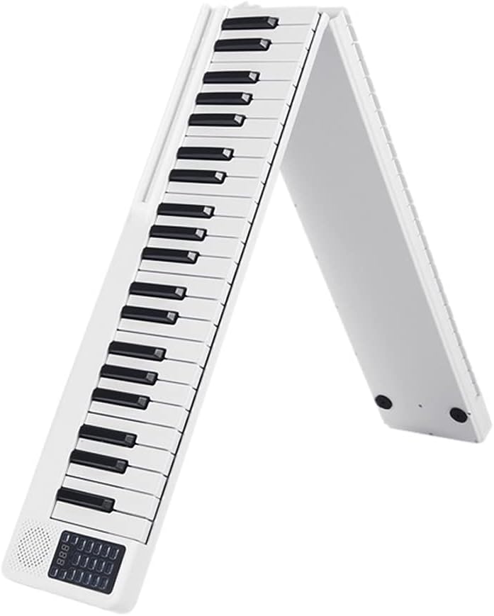 H*e様 HOLLY　エレキギター エクスプローラータイプ 希少品 早いもの勝ち H*e様 HOLLY エレキギター エクスプローラータイプ 希少品 早いもの