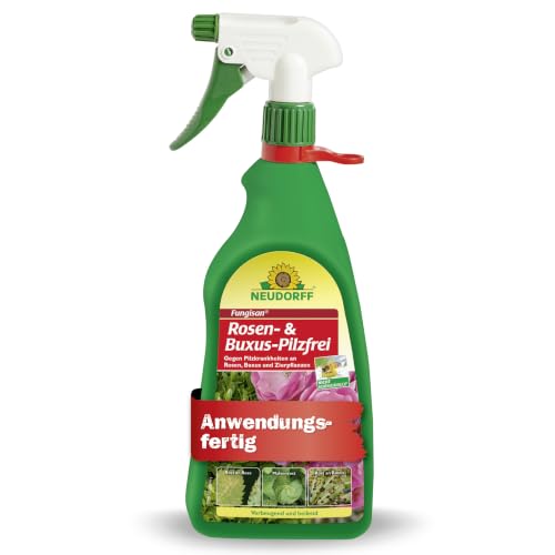 Neudorff Fungisan Rosen- und Buxus-Pilzfrei – Anwendungsfertiges Spray zur Bekämpfung von Pilzkrankheiten an Rosen, Buxus und Zierpflanzen, vegan, 1 Liter