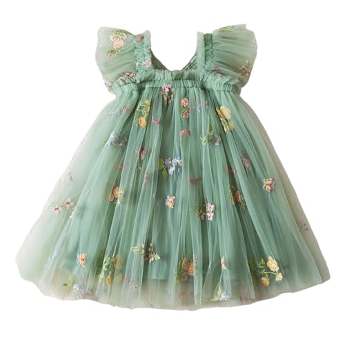 Robe en Tulle Bébé Princesse pour des Souvenirs d'Anniversaire Magiques