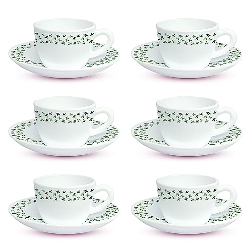 Sage Cup & Saucer Set by Borosil, 12-Piece
