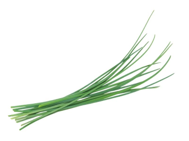 Fresh Chives, Restaurant Quality - 3 Packs of 1 lb Bags, Delicate Onion Flavor, Bulk Herbs for Chefs