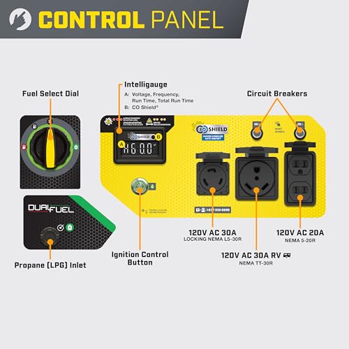 Champion Power Equipment 4375-Watt Wireless Start Dual Fuel RV Ready Portable Generator with CO Shield
