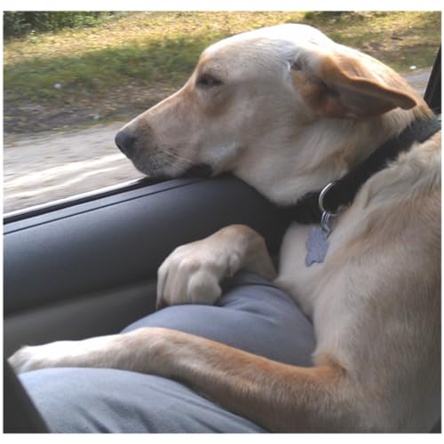 Jesus and You - 20 min